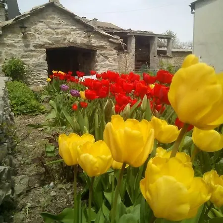 Apartamento Casa Cavero